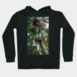 Palm Trees in Crete Hoodie